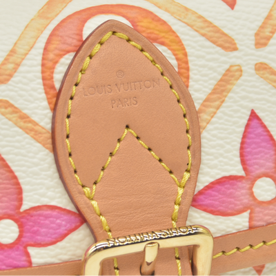 Louis Vuitton Monogram LV By the Pool Nano Diane Coral