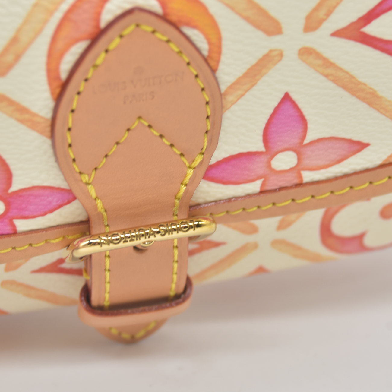 Louis Vuitton Monogram LV By the Pool Nano Diane Coral