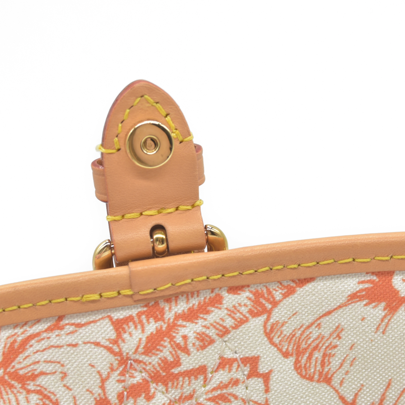 Louis Vuitton Monogram LV By the Pool Nano Diane Coral