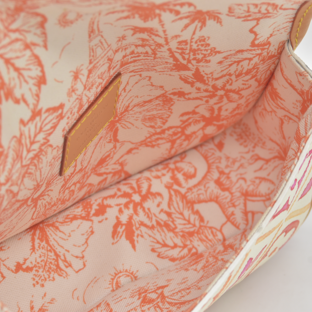 Louis Vuitton Monogram LV By the Pool Nano Diane Coral