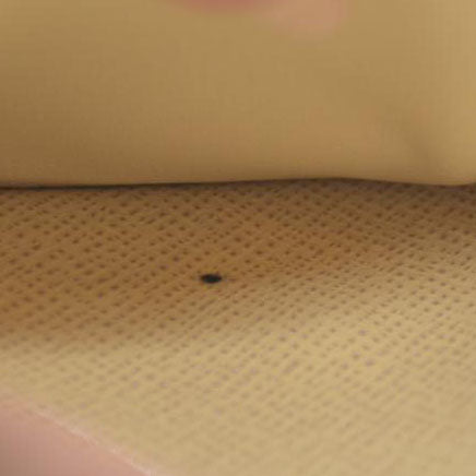 Louis Vuitton Damier Azur Agenda PM Notebook Cover White RA3149