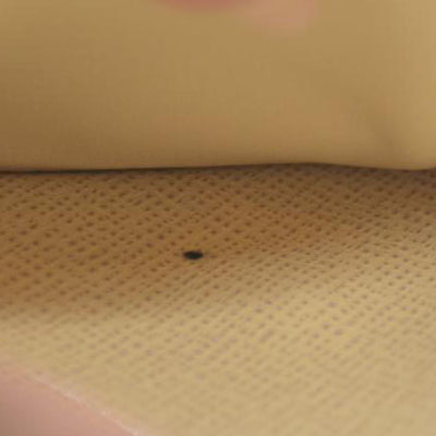 Louis Vuitton Damier Azur Agenda PM Notebook Cover White RA3149