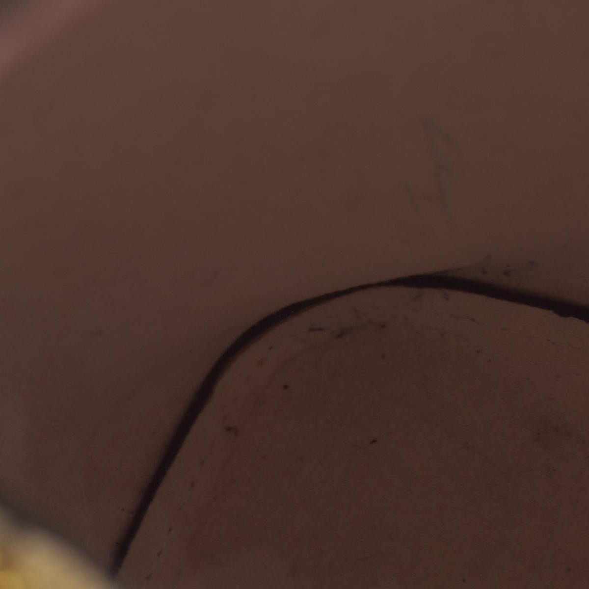 $2550 2019 Louis Vuitton Damier Azur Neonoe MM Eau De Rose SP1159