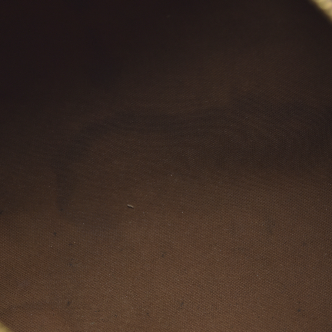 1988 Louis Vuitton Speedy 25 Handbag Monogram Brown 884