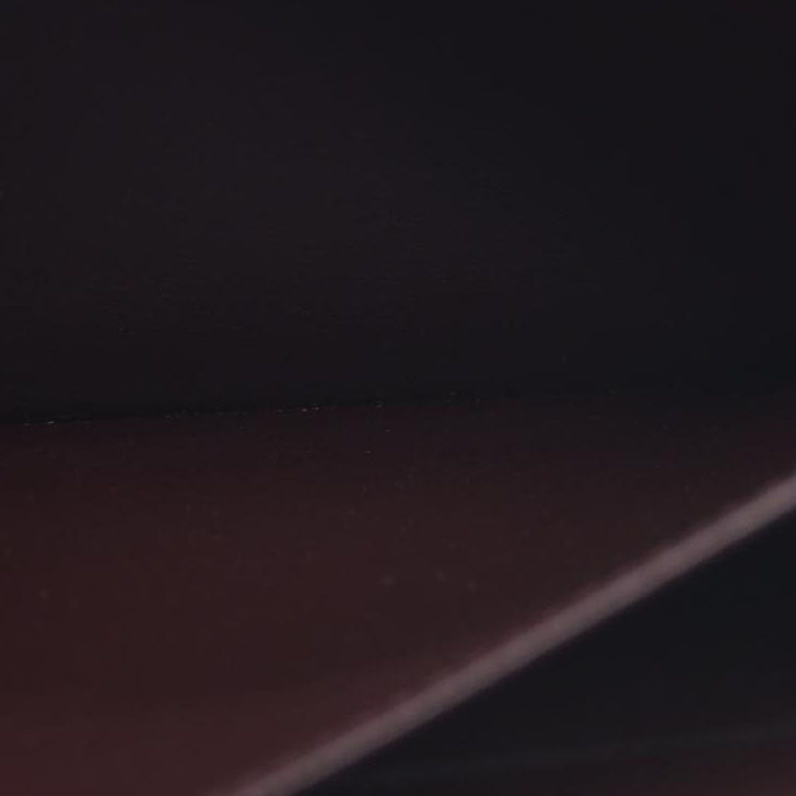 AUCTION $970 Louis Vuitton  Epi Electric Zippy Wallet Prune