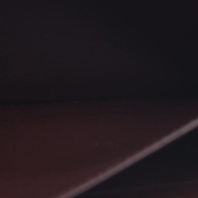 AUCTION $970 Louis Vuitton  Epi Electric Zippy Wallet Prune