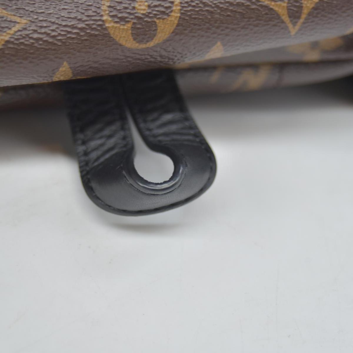 $2570 Louis Vuitton Monogram Palm Springs Backpack PM