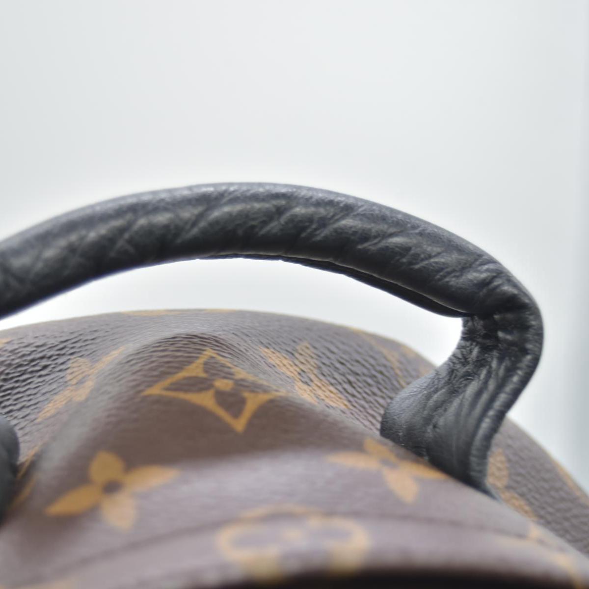 $2570 Louis Vuitton Monogram Palm Springs Backpack PM