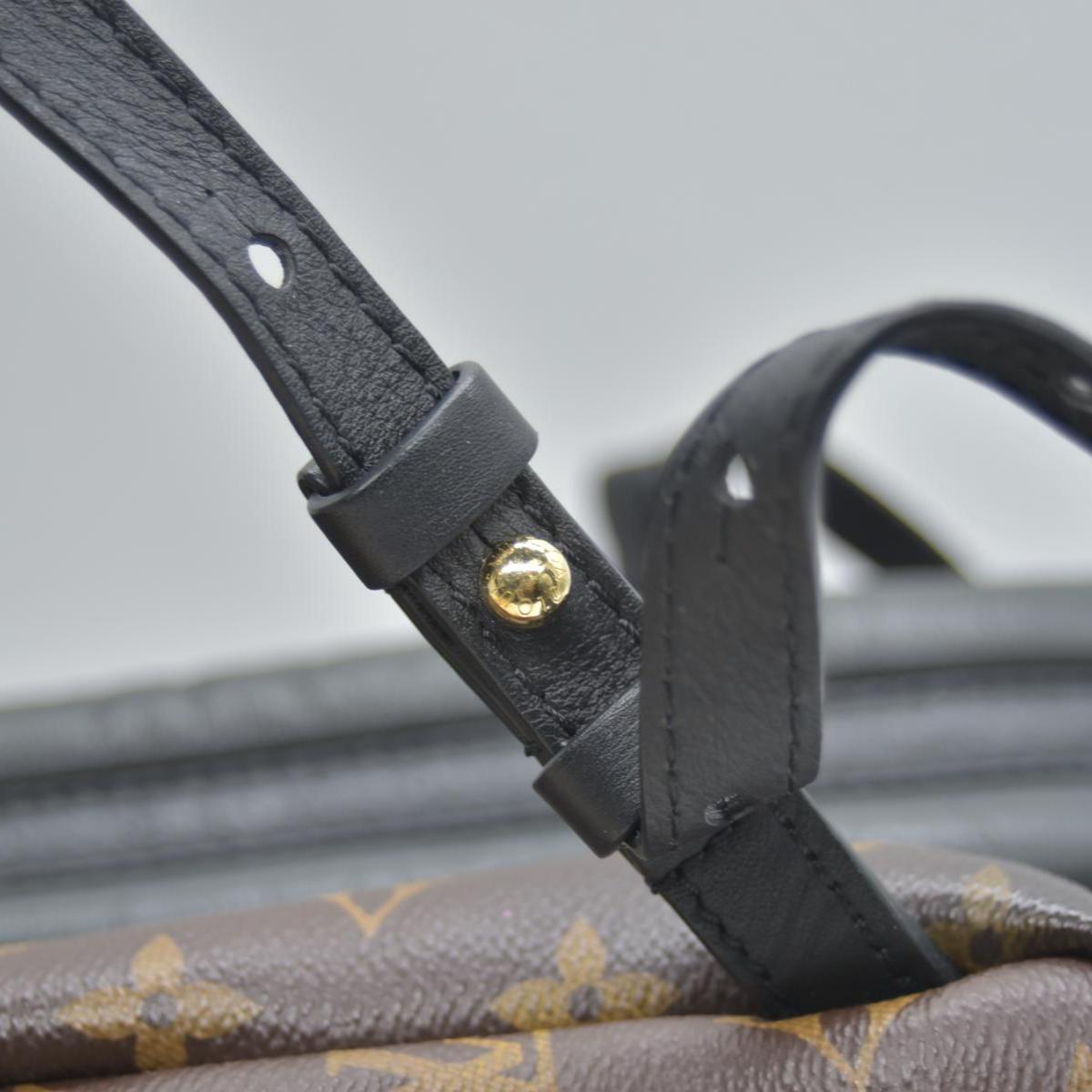 $2570 Louis Vuitton Monogram Palm Springs Backpack PM