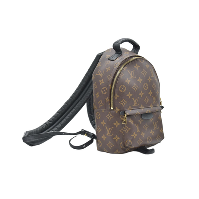 $2570 Louis Vuitton Monogram Palm Springs Backpack PM