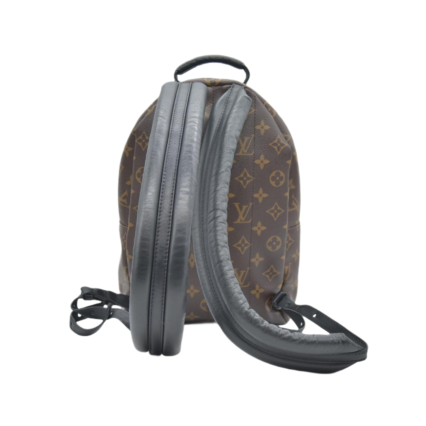 $2570 Louis Vuitton Monogram Palm Springs Backpack PM
