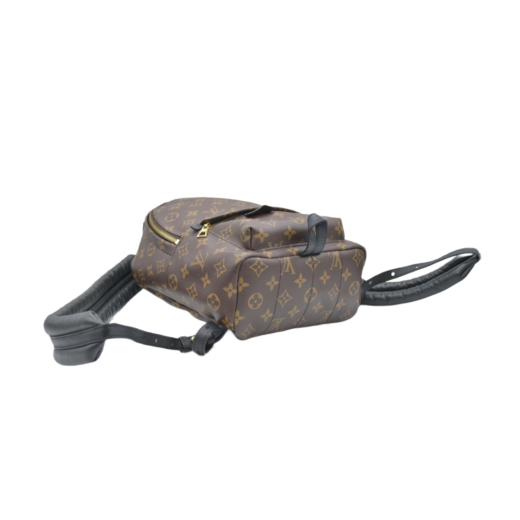 $2570 Louis Vuitton Monogram Palm Springs Backpack PM