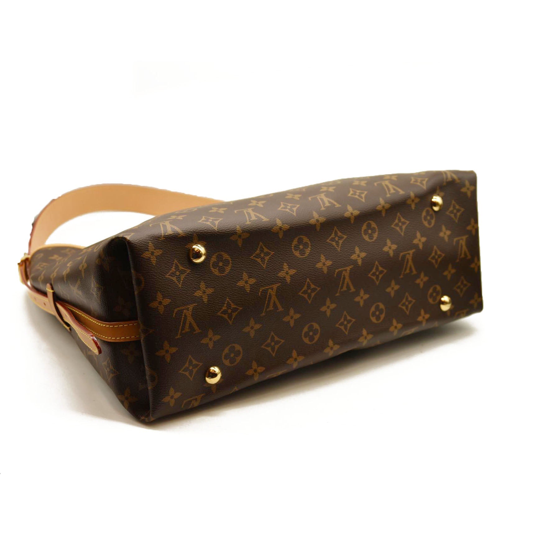 LOUIS VUITTON  Monogram CarryAll MM with pouch