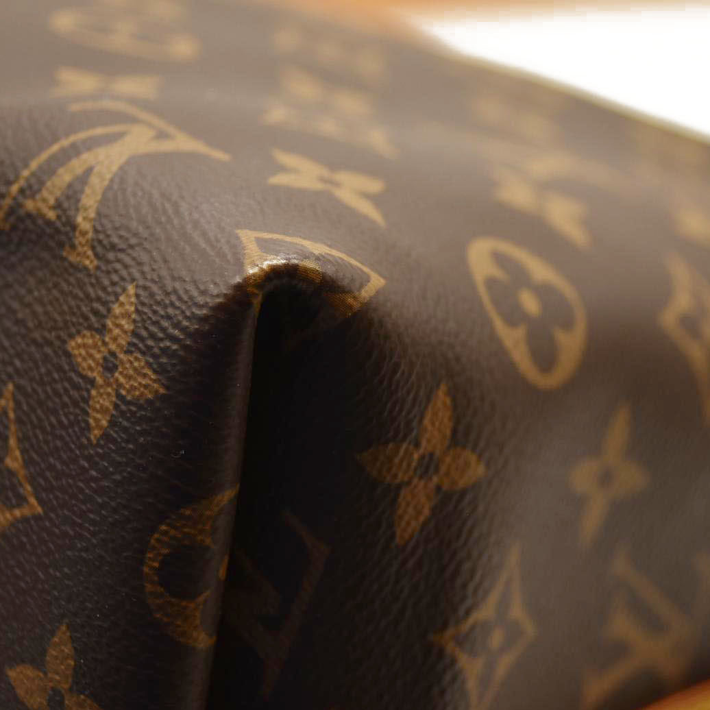 LOUIS VUITTON  Monogram CarryAll MM with pouch