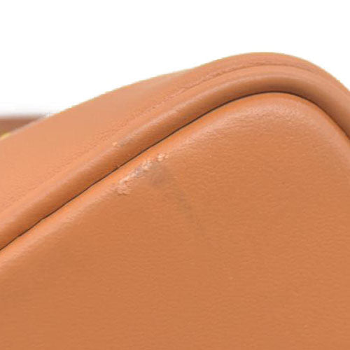 $2260 Louis Vuitton Monoglam Nano Noe Rose