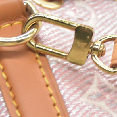 $2260 Louis Vuitton Monoglam Nano Noe Rose