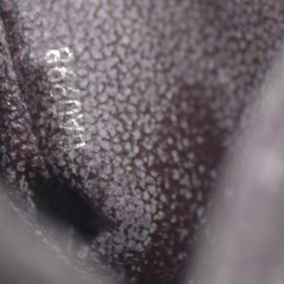 Louis Vuitton  Taiga Trousse Toilette PM Acajou