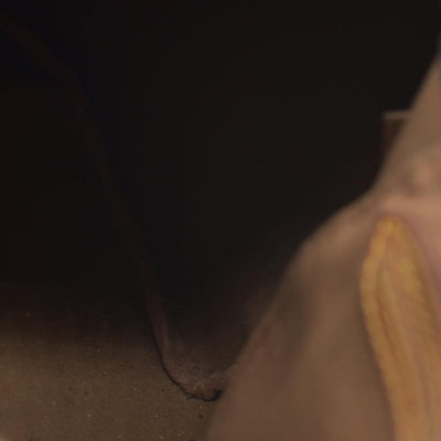 $1550 Louis Vuiton Monogram Speedy 30 SD1193