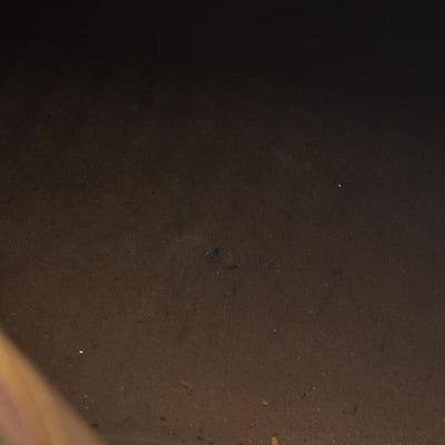 $1550 Louis Vuiton Monogram Speedy 30 SD1193