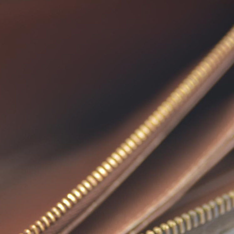 Louis Vuitton  Monogram Zippy Wallet CA1102