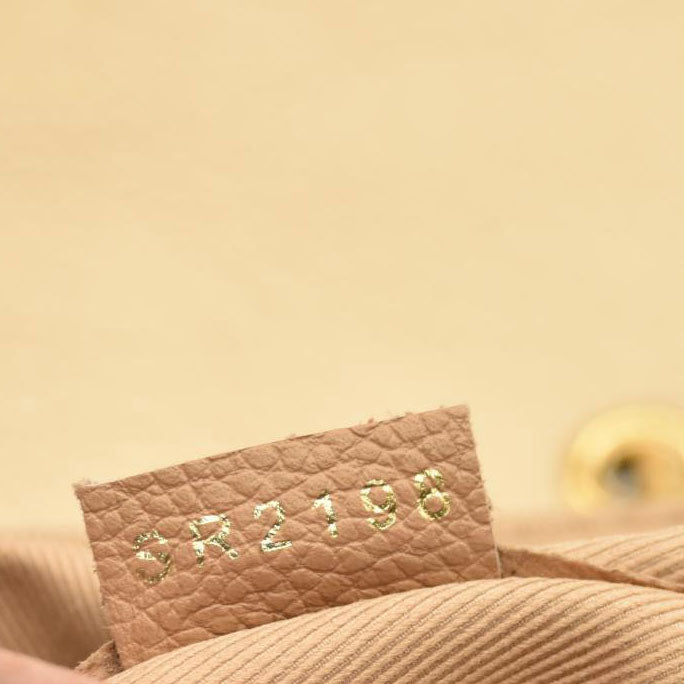 Louis Vuitton  Damier Ebene Clapton Backpack Creme