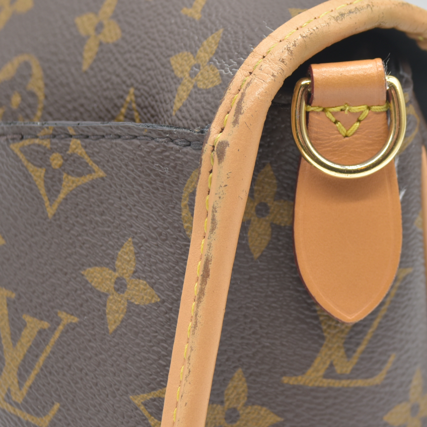 $2620 LOUIS VUITTON  Monogram Diane Black RFID Crossbody