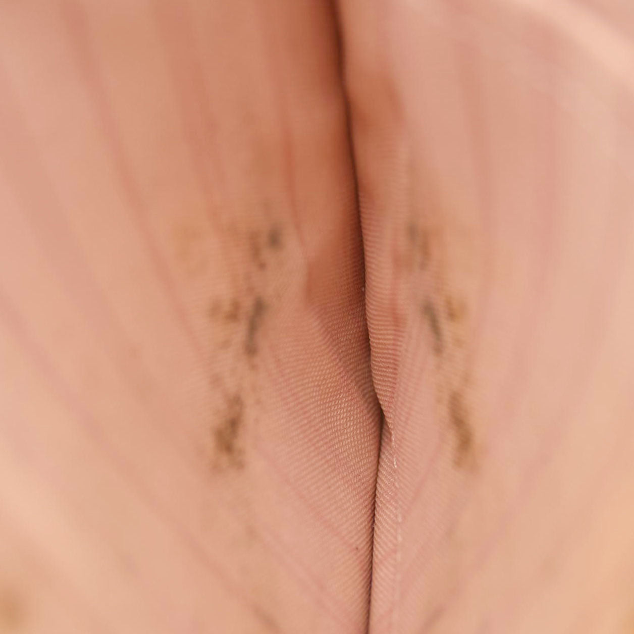 Louis Vuitton  Damier Azur Neo Neverfull MM Rose Ballerine MS4159