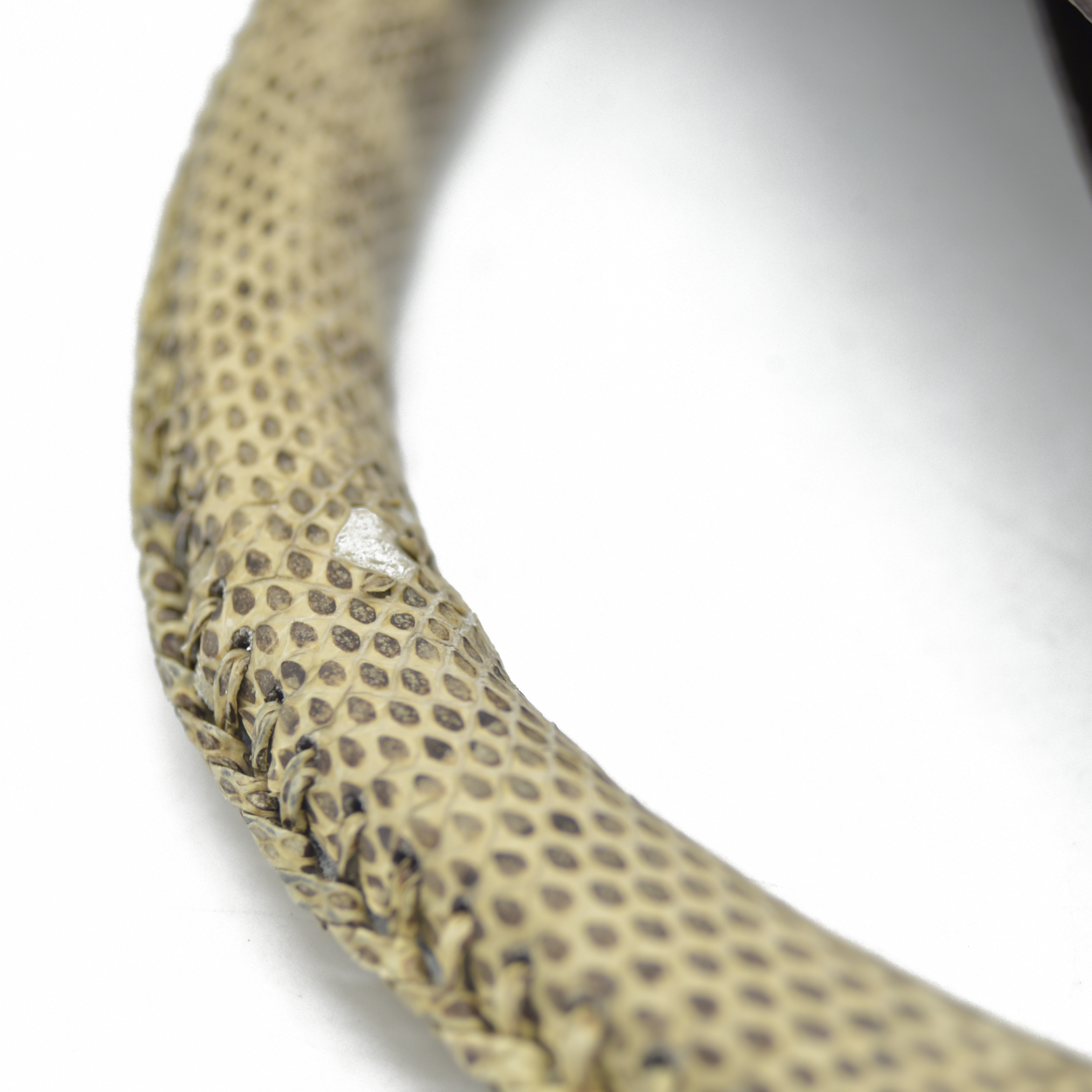 Louis Vuitton Snakeskin Monogram Artsy MM