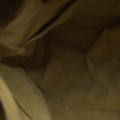 Louis Vuitton Snakeskin Monogram Artsy MM