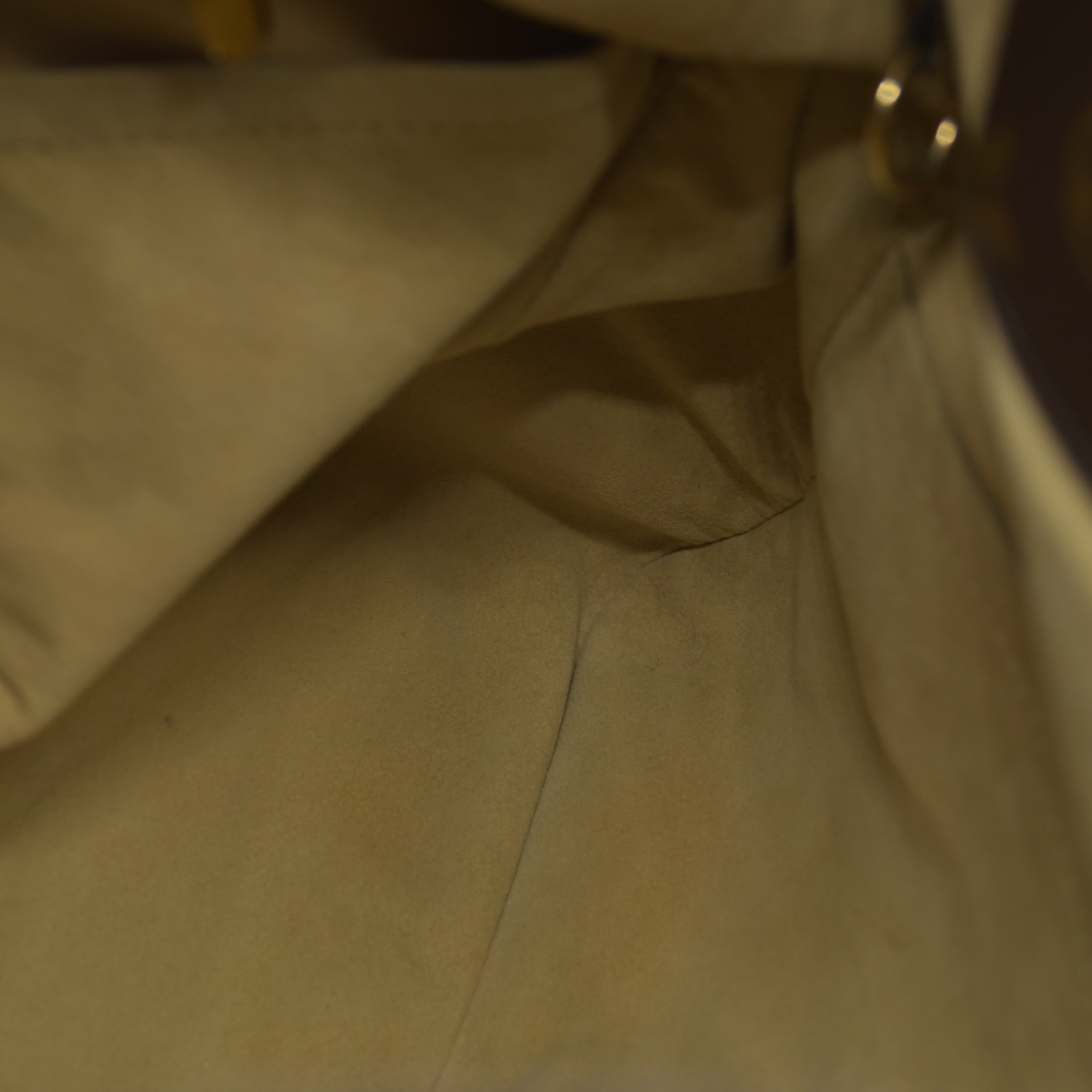 Louis Vuitton Snakeskin Monogram Artsy MM