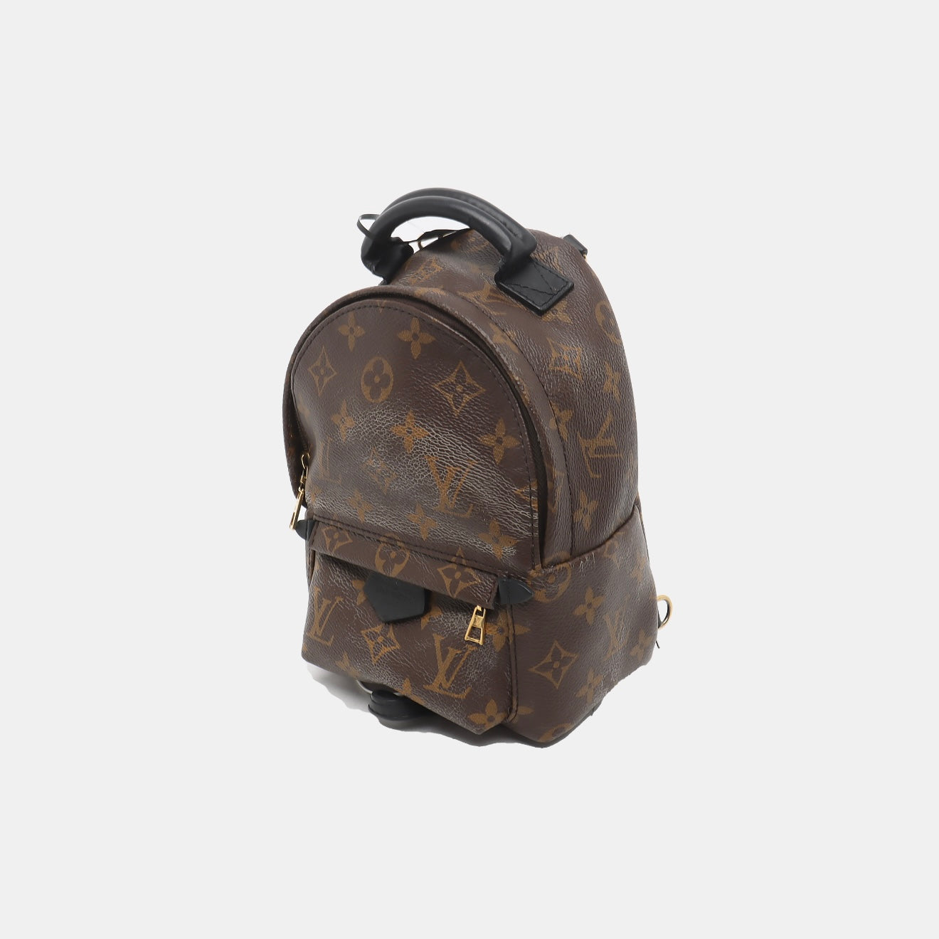 PRE-ORDER Louis Vuitton  Monogram Palm Springs Backpack Mini