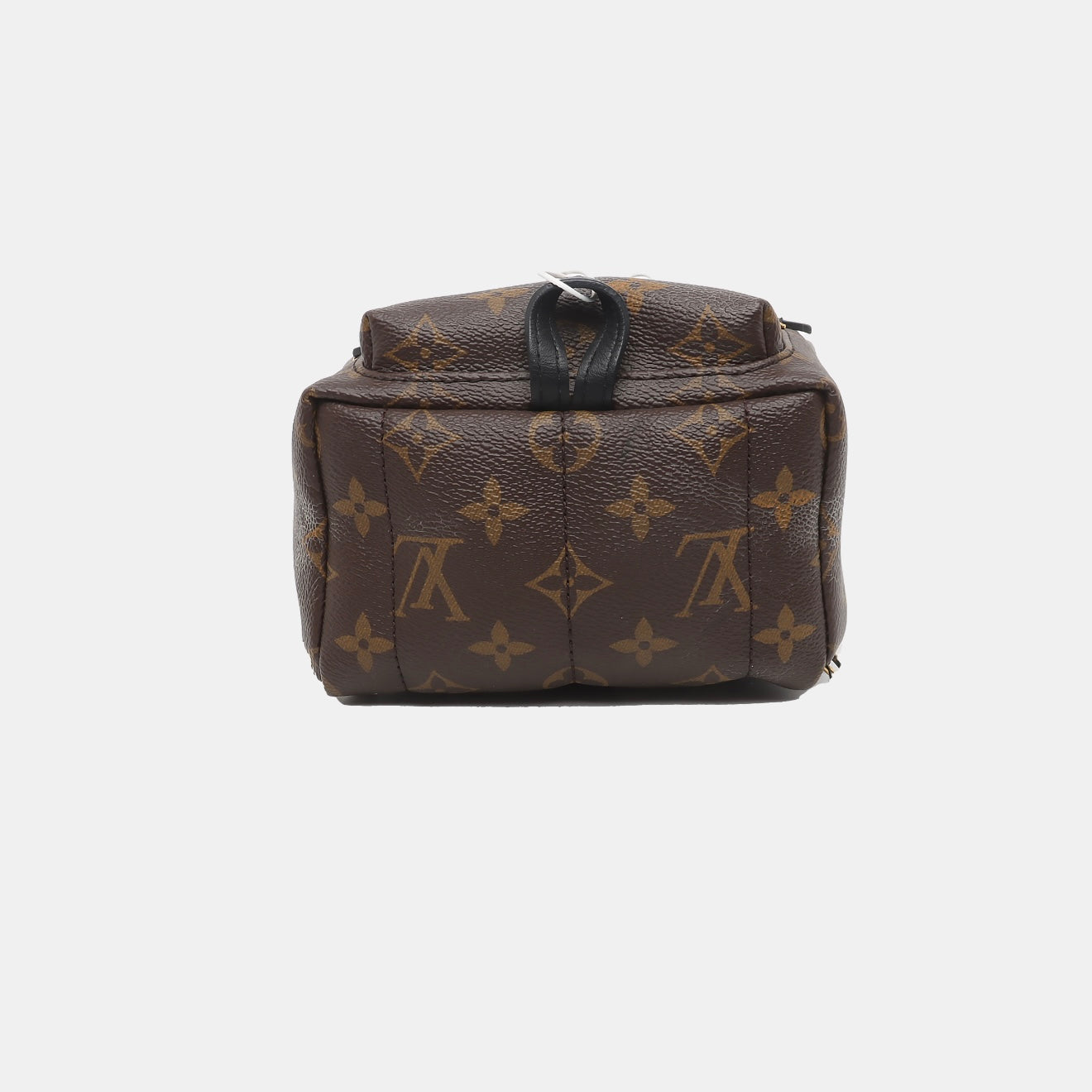 PRE-ORDER Louis Vuitton  Monogram Palm Springs Backpack Mini