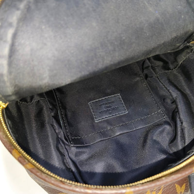PRE-ORDER Louis Vuitton  Monogram Palm Springs Backpack Mini
