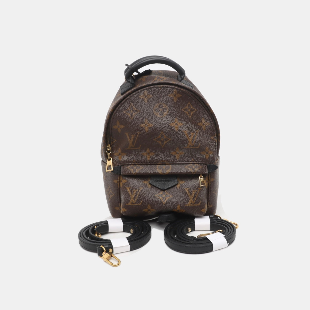 PRE-ORDER Louis Vuitton  Monogram Palm Springs Backpack Mini