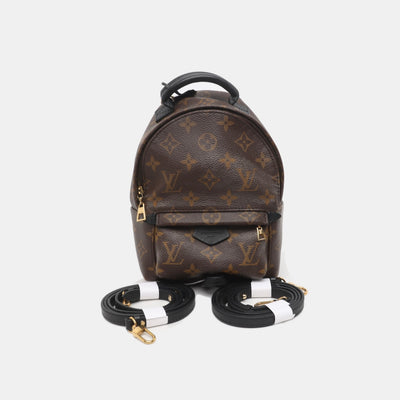 PRE-ORDER Louis Vuitton  Monogram Palm Springs Backpack Mini