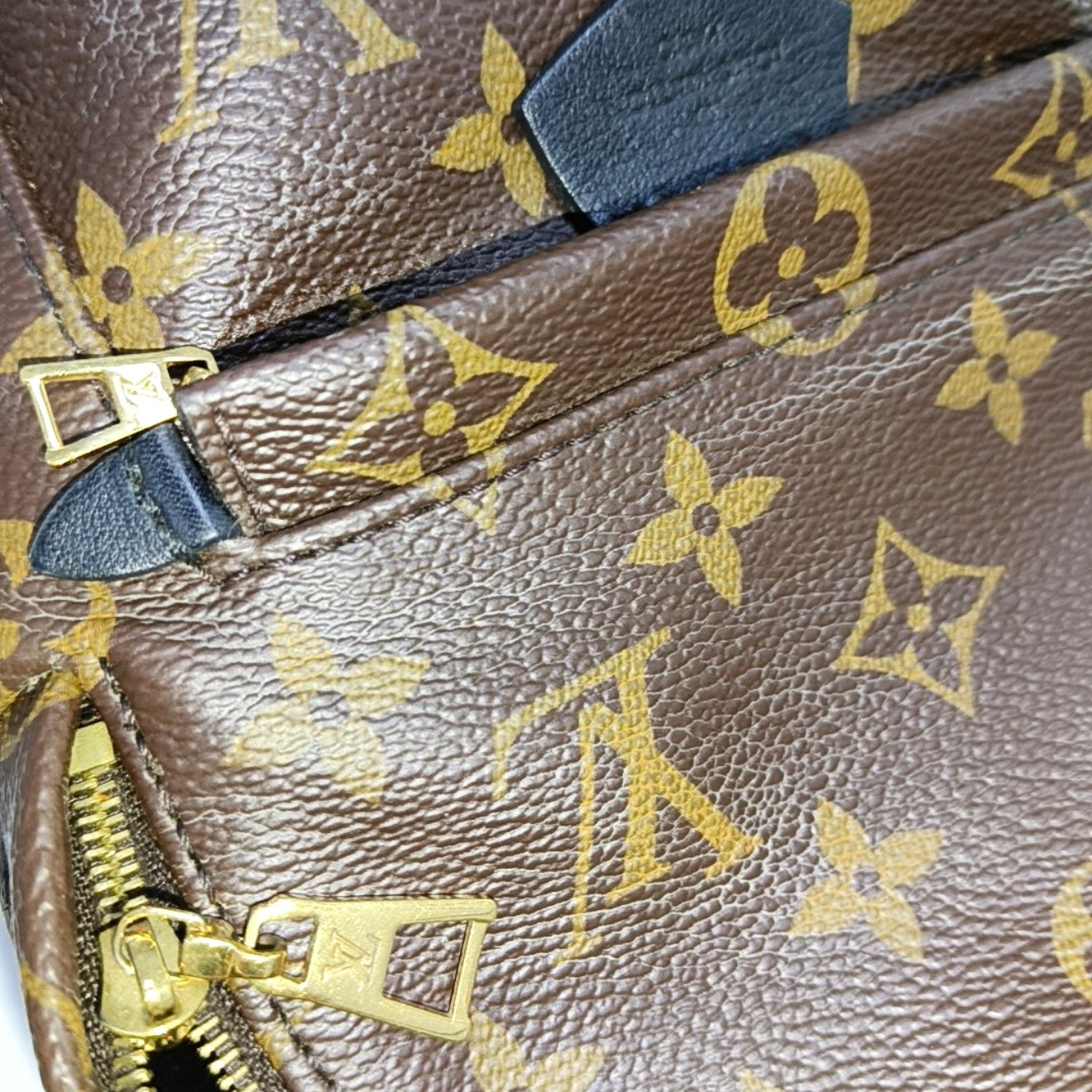 PRE-ORDER Louis Vuitton  Monogram Palm Springs Backpack Mini