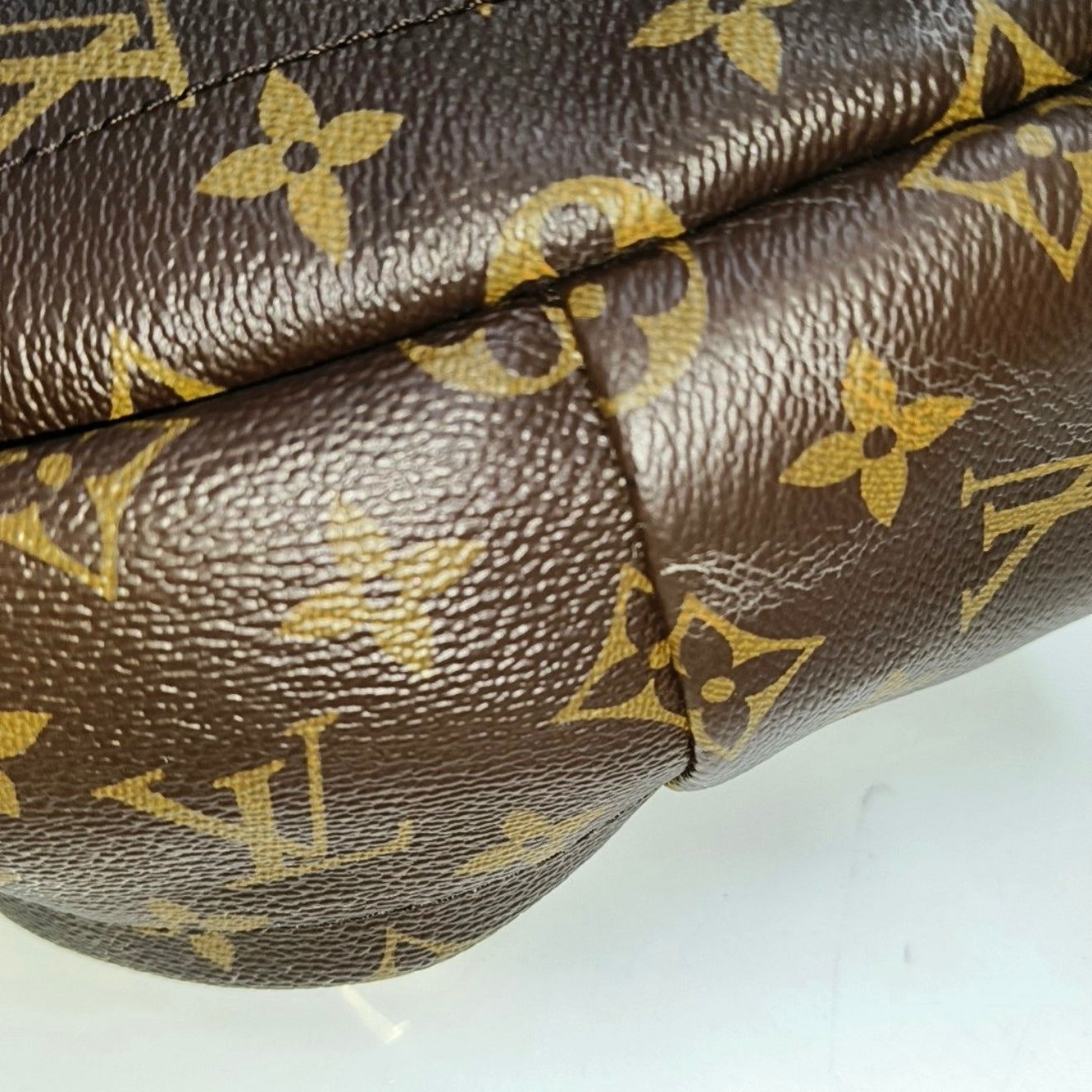 PRE-ORDER Louis Vuitton  Monogram Palm Springs Backpack Mini