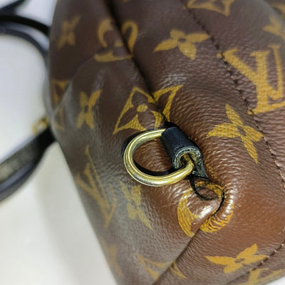 PRE-ORDER Louis Vuitton  Monogram Palm Springs Backpack Mini