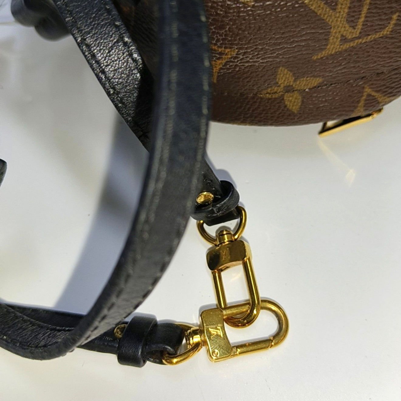 PRE-ORDER Louis Vuitton  Monogram Palm Springs Backpack Mini