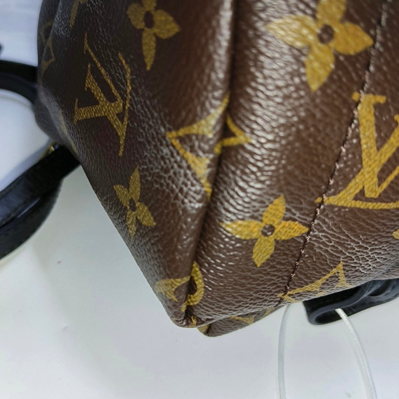 PRE-ORDER Louis Vuitton  Monogram Palm Springs Backpack Mini
