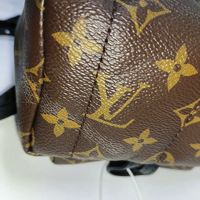 PRE-ORDER Louis Vuitton  Monogram Palm Springs Backpack Mini
