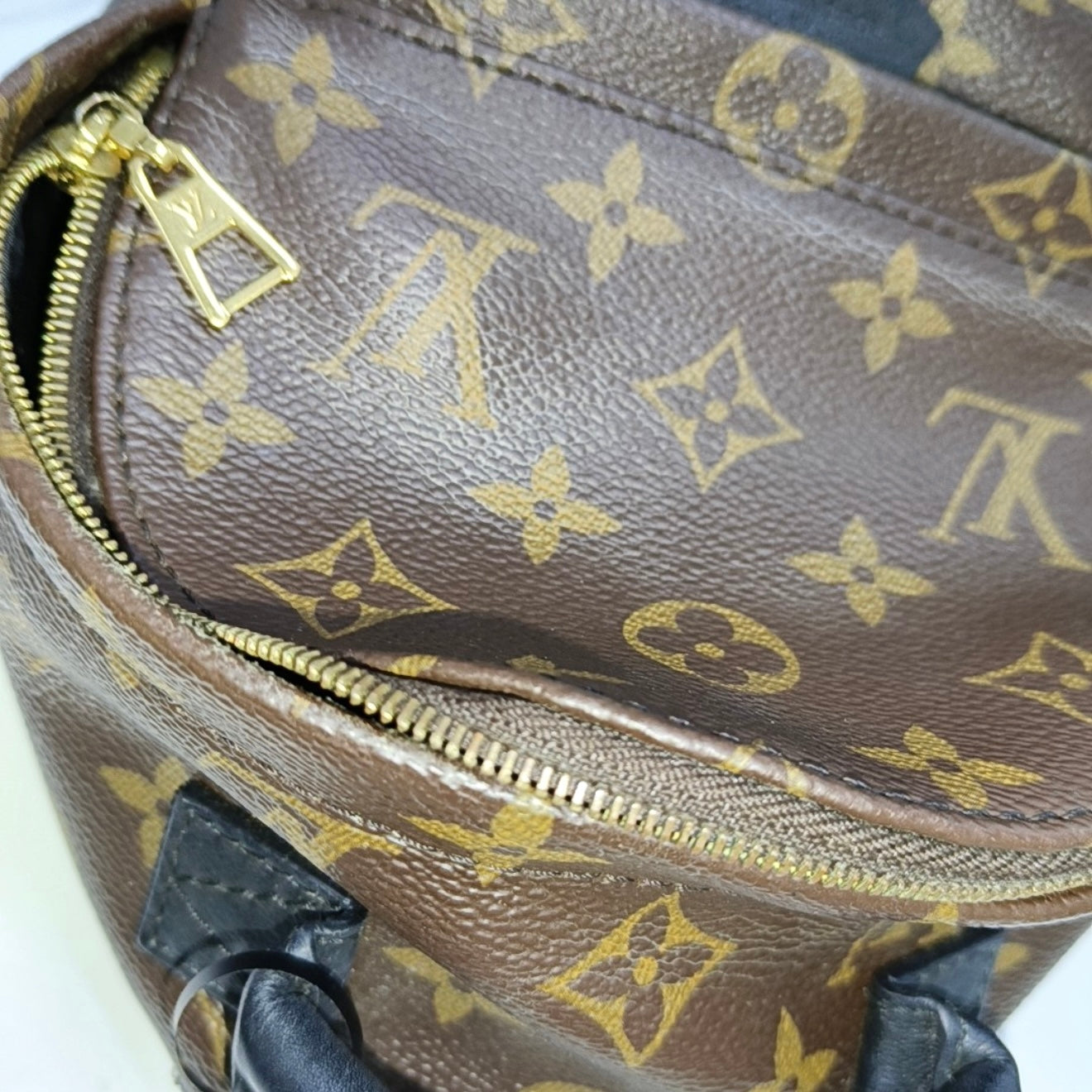 PRE-ORDER Louis Vuitton  Monogram Palm Springs Backpack Mini