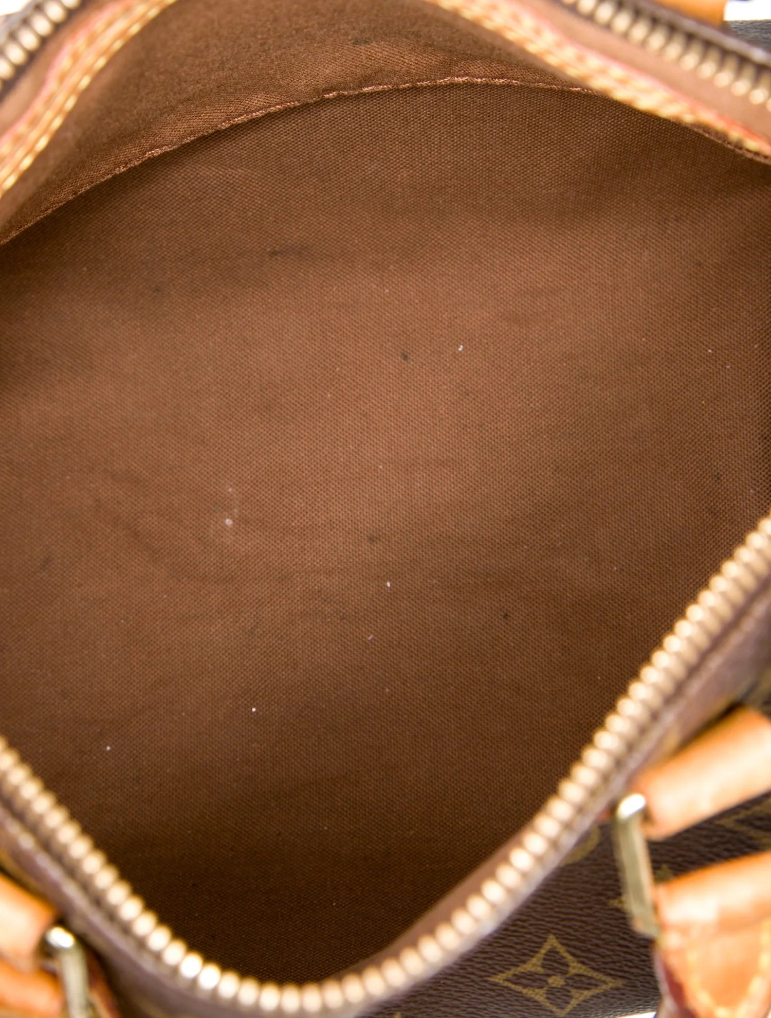 LV Monogram Speedy 25