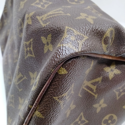Louis Vuitton Speedy 25 Handbag Brown Monogram MI872