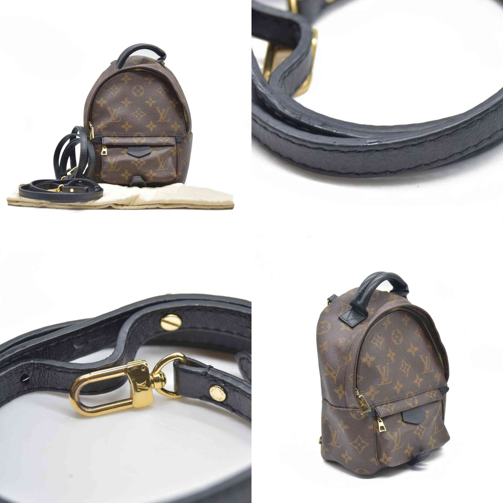 Louis Vuitton  Monogram Palm Springs Backpack Mini