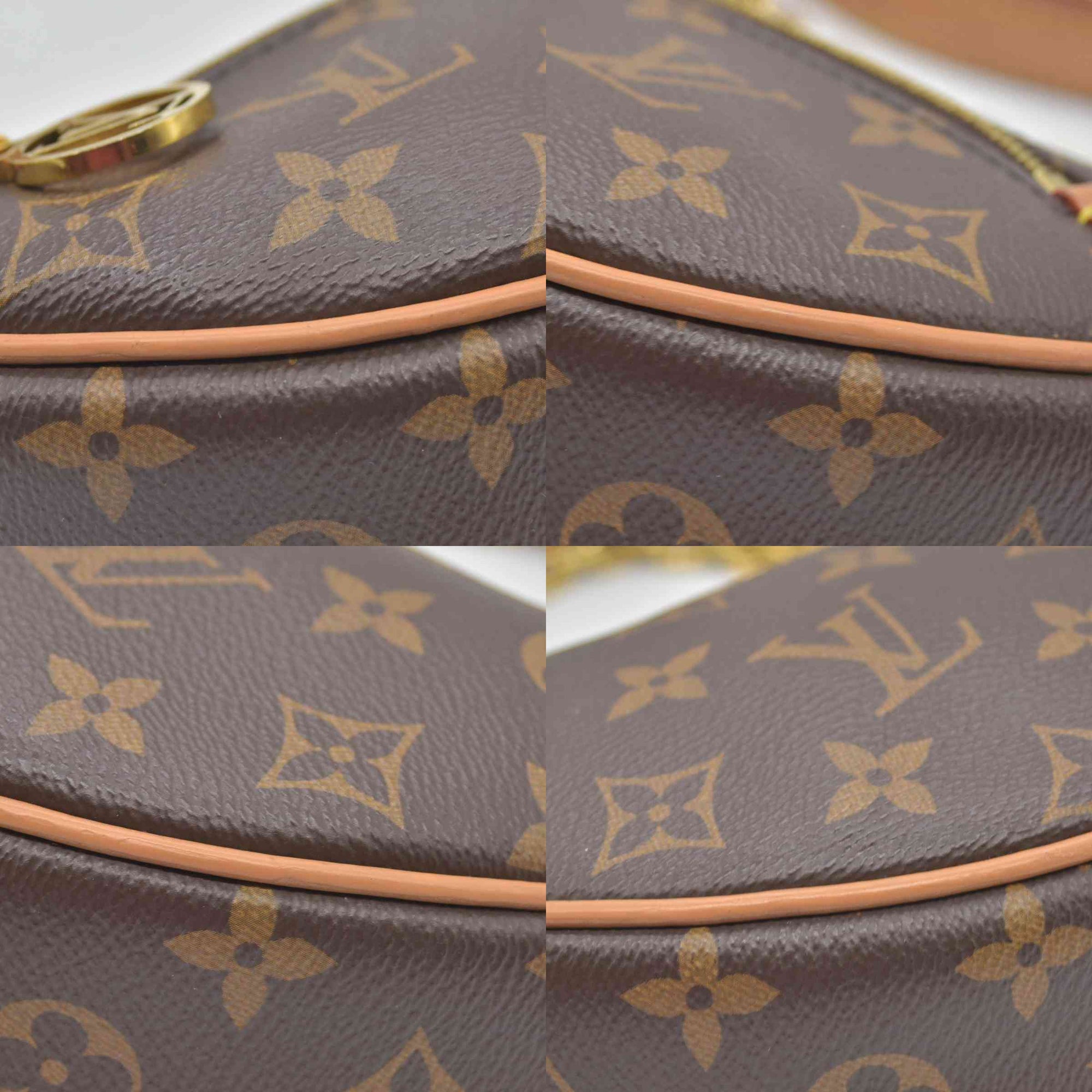 $2540 Louis Vuitton Monogram Loop