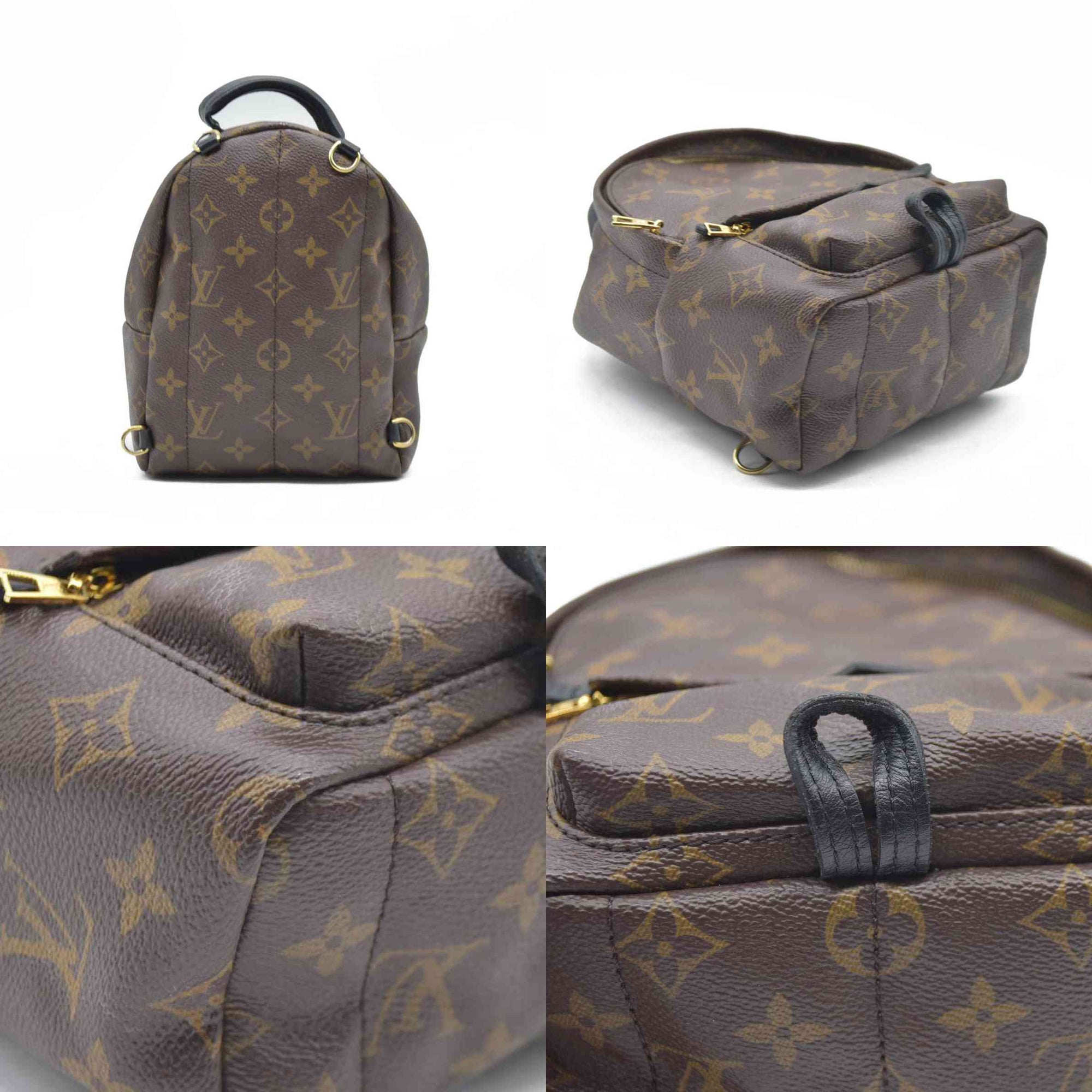 Louis Vuitton  Monogram Palm Springs Backpack Mini