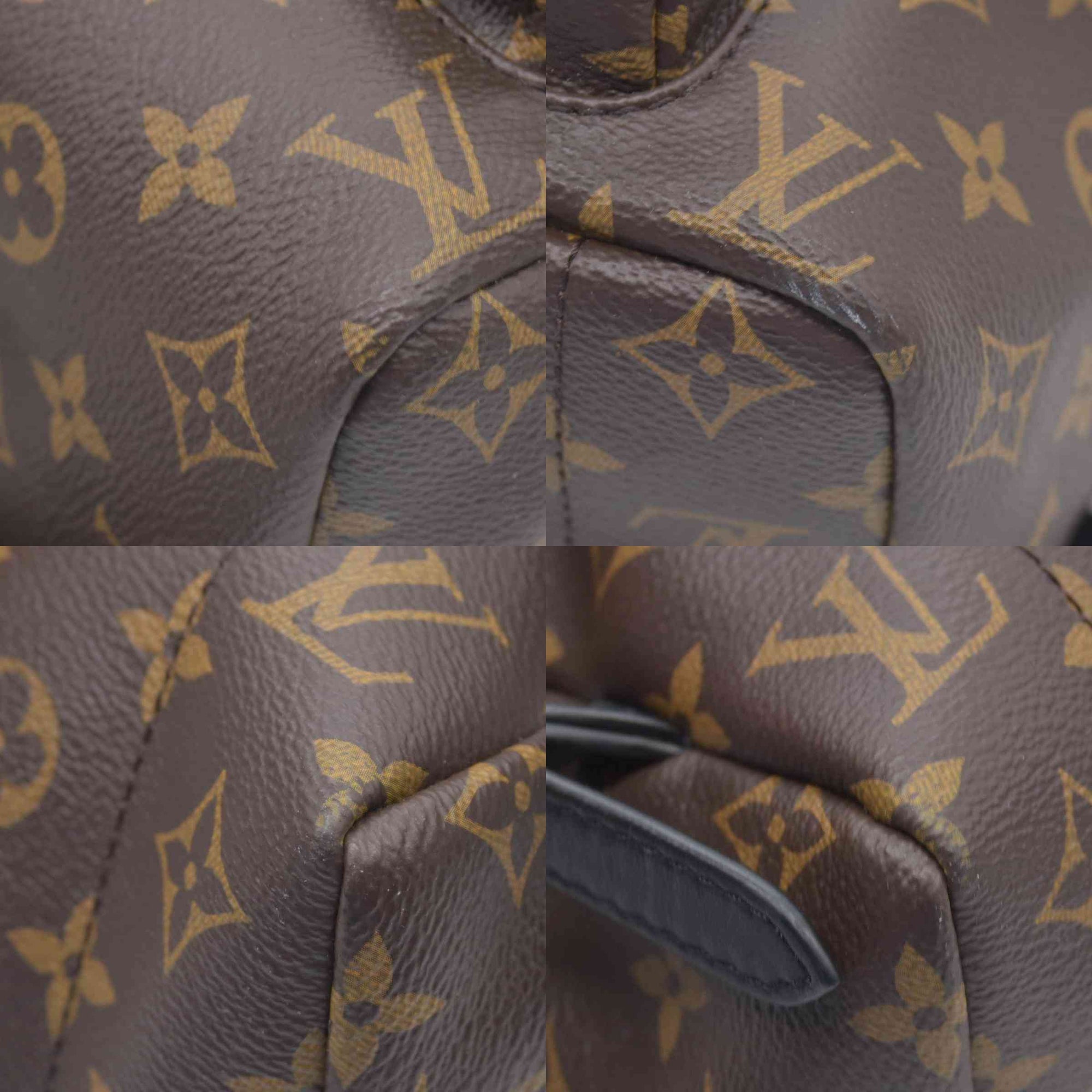 $2980 Louis Vuitton LV Monogram Palm Springs MM New Model