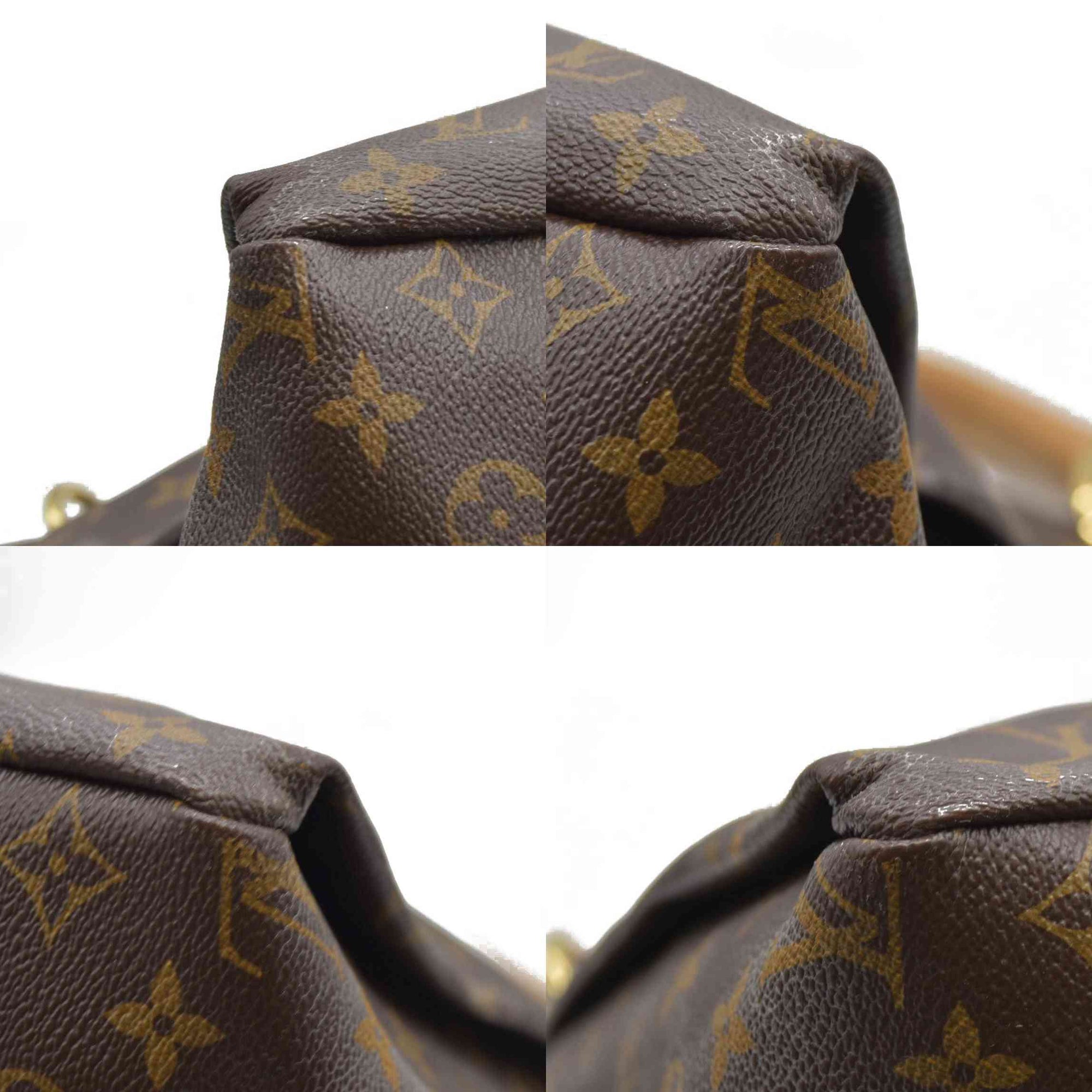 Louis Vuitton Monogram Artsy MM CA3168