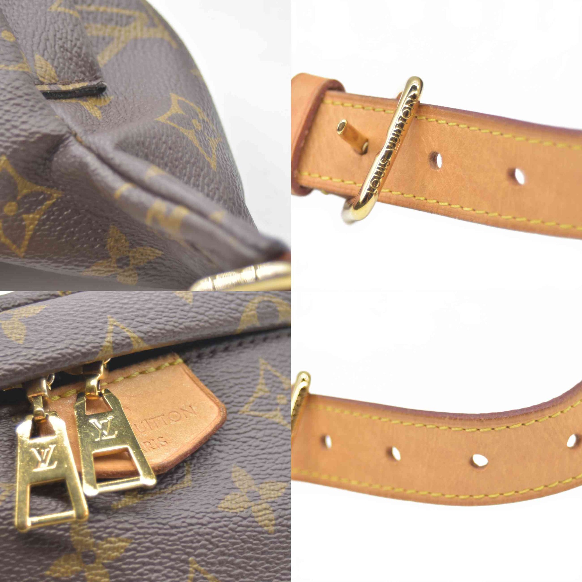 $2450 Louis Vuitton Monogram Bumbag RFID